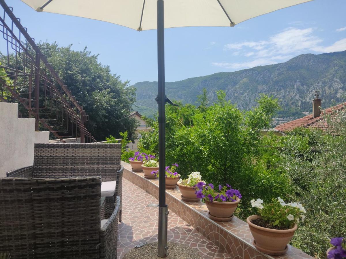 Apartments Feniks Kotor Eksteriør billede